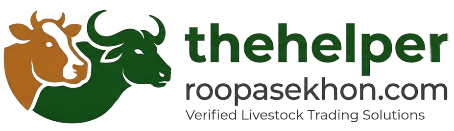 The Helper Roopa Sekhon